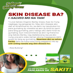 NEW SALVEO BARLEY GRASS TRIAL PACK FROM 60 GRAMS NOW 80 GRAMS