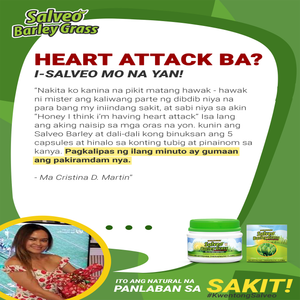 NEW SALVEO BARLEY GRASS TRIAL PACK FROM 60 GRAMS NOW 80 GRAMS